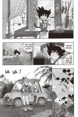 Dragon Ball Massiv 1