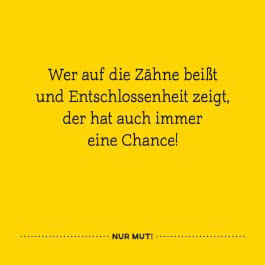 Peanuts Geschenkbuch: Du schaffst das!