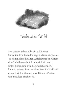 Innenansicht von „Ein Fohlen sucht eine Familie“