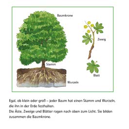 Maxi Pixi 399: Entdecke den Wald