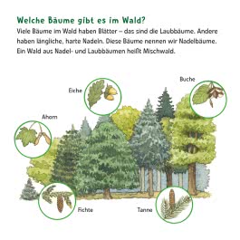 Maxi Pixi 399: Entdecke den Wald