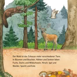 Maxi Pixi 399: Entdecke den Wald
