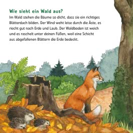 Maxi Pixi 399: Entdecke den Wald
