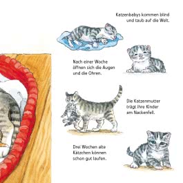 Maxi Pixi 463: Entdecke die Tierkinder