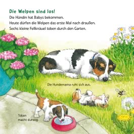 Maxi Pixi 463: Entdecke die Tierkinder