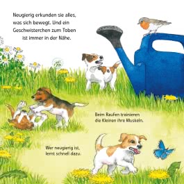 Maxi Pixi 463: Entdecke die Tierkinder