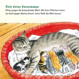 Maxi Pixi 463: Entdecke die Tierkinder
