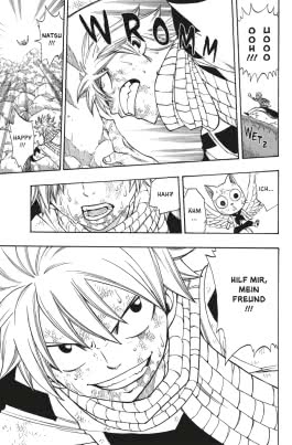 Fairy Tail 23