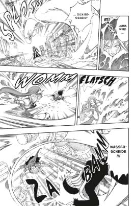 Fairy Tail 25