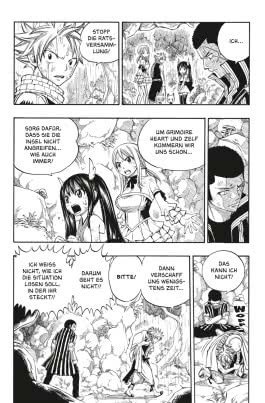 Fairy Tail 28