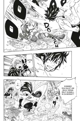 Fairy Tail 29