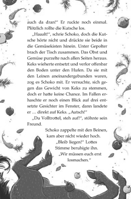 Innenansicht von „Flausen im Schopf“