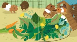 Innenansicht von „Flippediflapp: Tiere bei uns zu Hause“