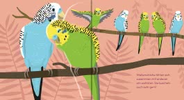 Innenansicht von „Flippediflapp: Tiere bei uns zu Hause“