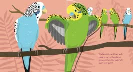 Innenansicht von „Flippediflapp: Tiere bei uns zu Hause“