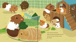 Innenansicht von „Flippediflapp: Tiere bei uns zu Hause“