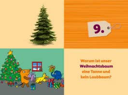 Frag doch mal ... die Maus: Der Adventskalender 2024