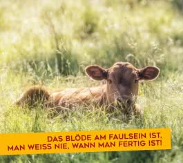 Für echte Tierfreunde
