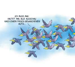 Für echte Tierfreunde