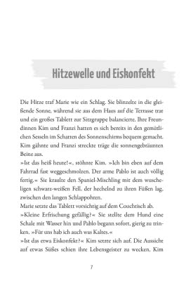 Die drei !!!: Gefahr in den Ruinen
