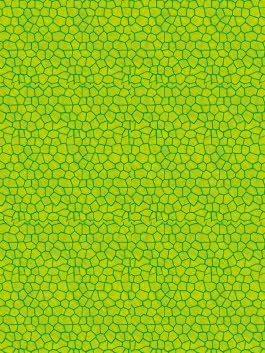 Innenansicht von „Große Helden - Kleine Künstler: Spidey und seine Super-Freunde: Mein spinnenstarker Mitmachspaß“