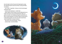Disney Vorlesebuch: Gutenacht-Geschichten für schöne Träume