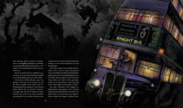 Harry Potter und der Gefangene von Askaban (Schmuckausgabe Harry Potter 3)