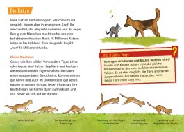 Innenansicht von „Haustiere“