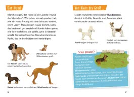 Innenansicht von „Haustiere“