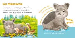 Hör mal, wie ich keckern kann (Mein erstes Streichel-Soundbuch 3)
