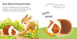 Hör mal, wie ich miauen kann (Mein erstes Streichel-Soundbuch 2)