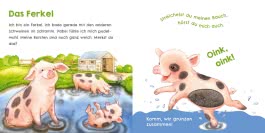 Hör mal, wie ich schnattern kann (Mein erstes Streichel-Soundbuch 1)