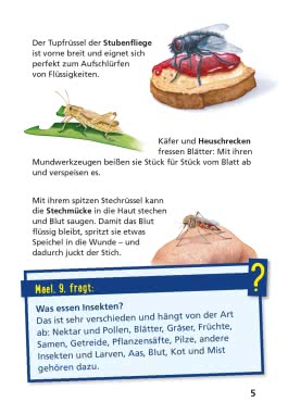 Pixi Wissen 115: Insekten