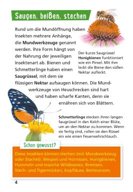 Pixi Wissen 115: Insekten