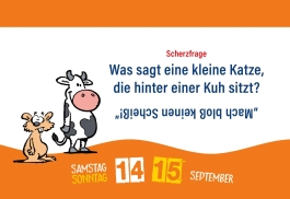 Kinder-Witze zum Ablachen! 2024: Mein Kalender für jeden Tag