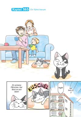 Kleine Katze Chi 10