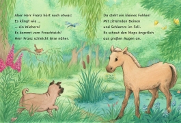 Innenansicht von „Kleines Fohlen, großer Held“