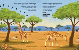 Innenansicht von „Können Bäume miteinander sprechen?“