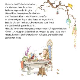 Maxi Pixi 478: Lilia, die kleine Elbenprinzessin: Die geheimnisvolle Zauberkugel 