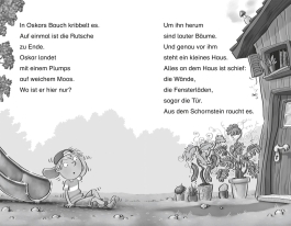 Lustige Monster-Geschichten zum Lesenlernen: Spinnengift und Krötenschleim, Monsterfalle