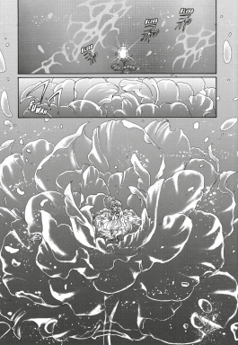 Magic Knight Rayearth Premium Collection 1