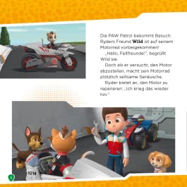 Maxi-Mini 194: PAW Patrol: Die Fellfreunde und die Katzenbande