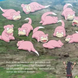 Maxi-Mini 203: Pokémon: Eine Geschmacksexplosion