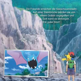Maxi-Mini 204: Pokémon: Frostiger Raid-Kampf
