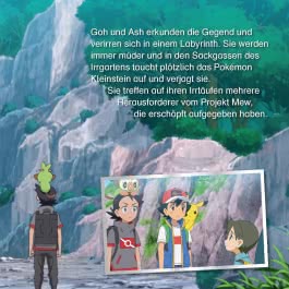 Maxi-Mini 204: Pokémon: Frostiger Raid-Kampf