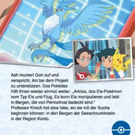 Maxi-Mini 204: Pokémon: Frostiger Raid-Kampf
