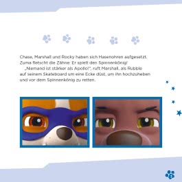 Innenansicht von „Maxi-Mini 251: PAW Patrol: Der Satellitenabsturz“