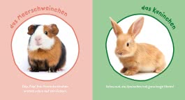 Innenansicht von „Mein Baby-Pixi-Buggybuch: Meine ersten Tiere “