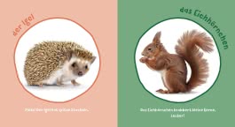 Innenansicht von „Mein Baby-Pixi-Buggybuch: Meine ersten Tiere “