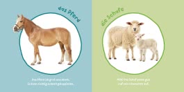 Innenansicht von „Mein Baby-Pixi-Buggybuch: Meine ersten Tiere “